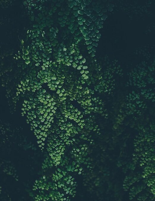 The Art of Avatar Design: Crafting Your Virtual Persona in the Metaverse